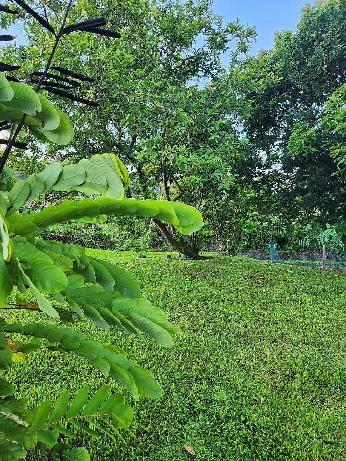 Villa Pelee Le Morne-Rouge Aparthotel