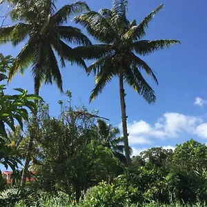 En Pleine Verdure Tropicale -10 Min Le Morne-Rouge