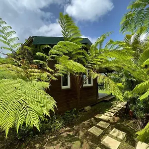 A Flanc De Colline Le Morne-Rouge